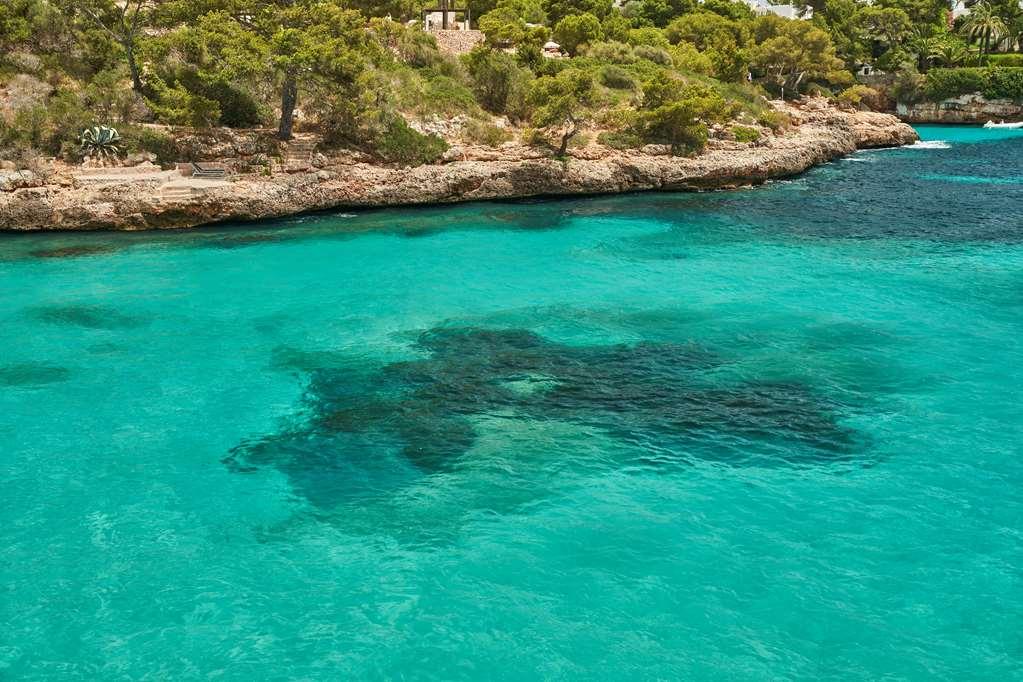 Barcel Ponent Playa Hotel Cala D´Or Natuur foto